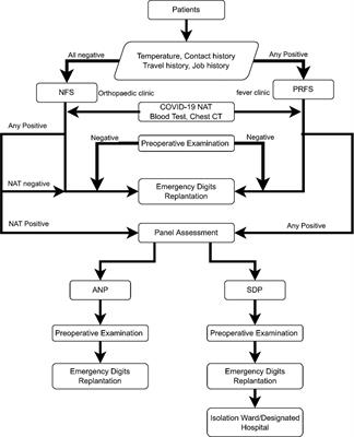 Influence on emergency digit replantation and outcome assessment after COVID-19 virus nucleic acid testing normalization